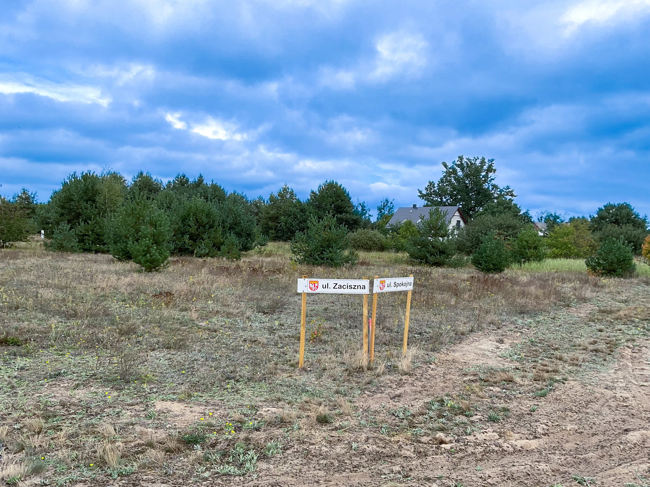 Działki budowlane w jaraczu, działki budowlane wielkopolska, działki budowalne las, działki budowalne oborniki, działki budowlane przy lesie, działki budowlane poznań
