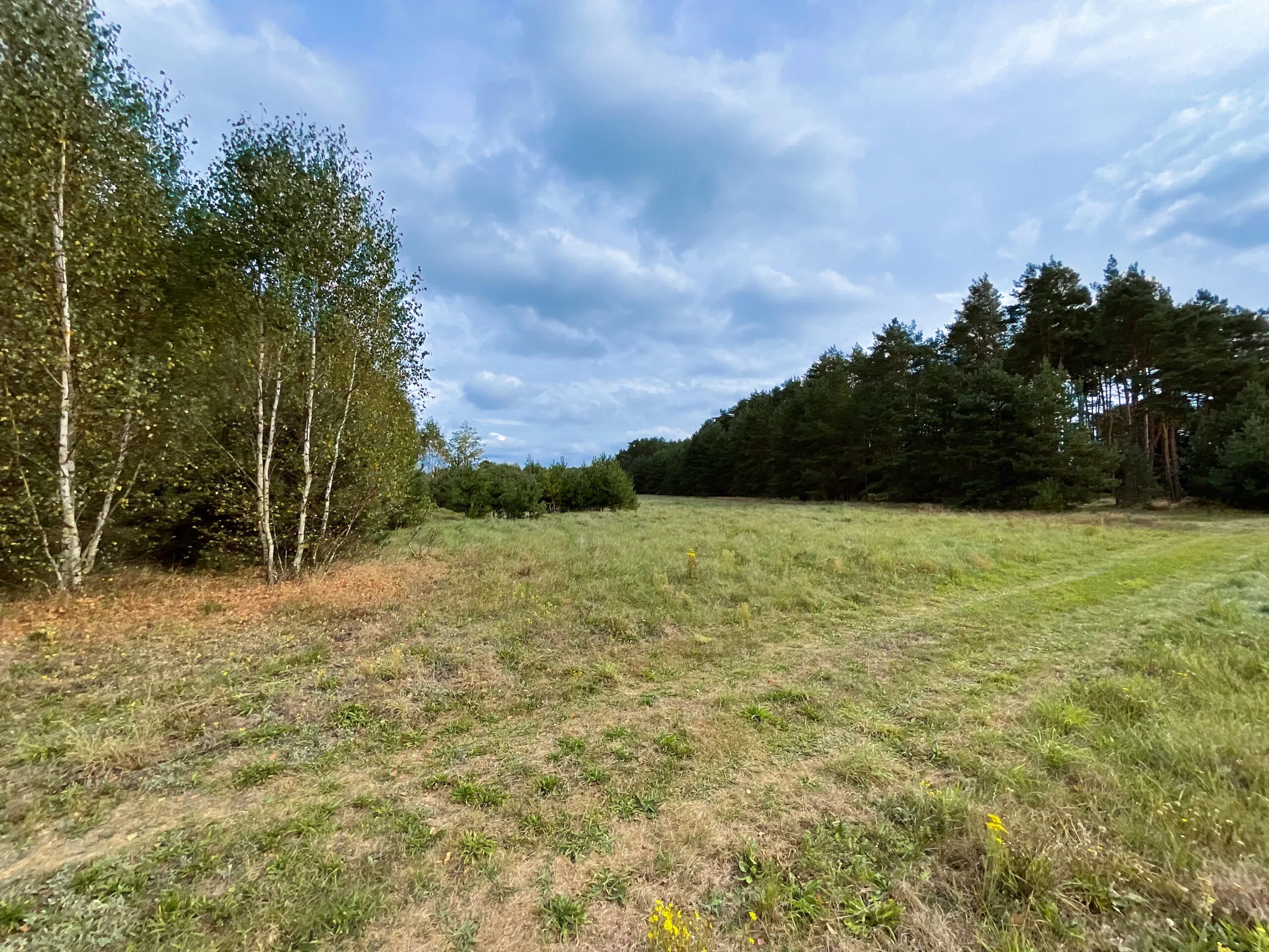Działki budowlane w jaraczu, działki budowlane wielkopolska, działki budowalne las, działki budowalne oborniki, działki budowlane przy lesie, działki budowlane poznań