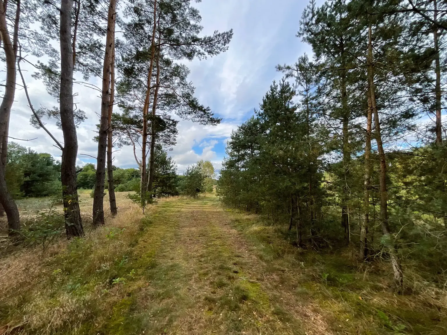 Działki budowlane w jaraczu, działki budowlane wielkopolska, działki budowalne las, działki budowalne oborniki, działki budowlane przy lesie, działki budowlane poznań